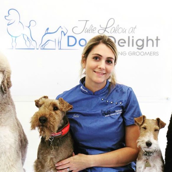 Dog Grooming Courses in London Delights Grooming Courses