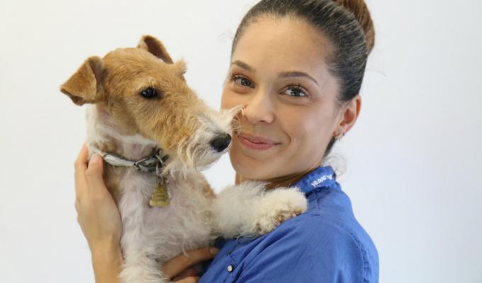 City and Guilds Dog Grooming Course